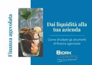 Ebook Finanza Agevolata Dai Liquidità Alla Tua Azienda